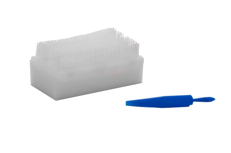 Dry Sterile Surgical Hand Brush