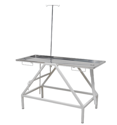 Veterinary Examination Table