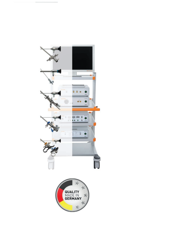 Video Endoscopy Systems